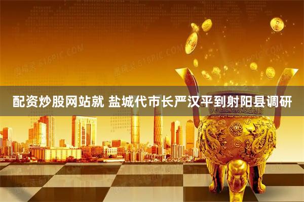 配资炒股网站就 盐城代市长严汉平到射阳县调研