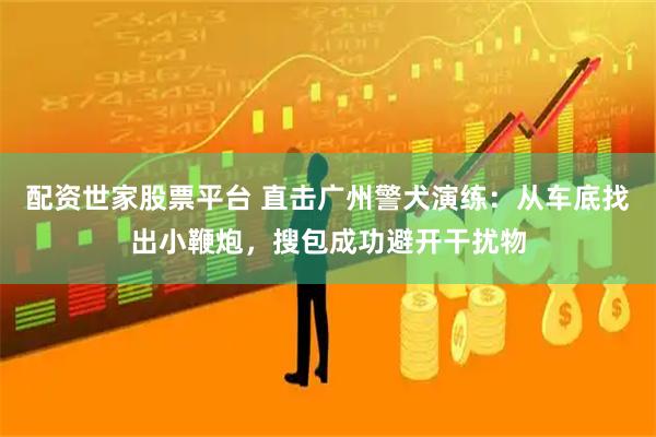 配资世家股票平台 直击广州警犬演练：从车底找出小鞭炮，搜包成功避开干扰物
