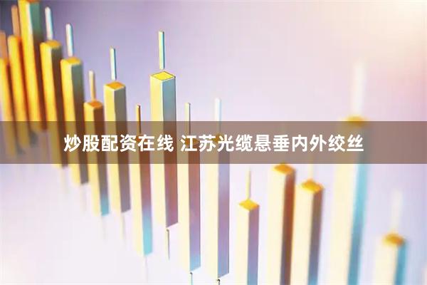 炒股配资在线 江苏光缆悬垂内外绞丝