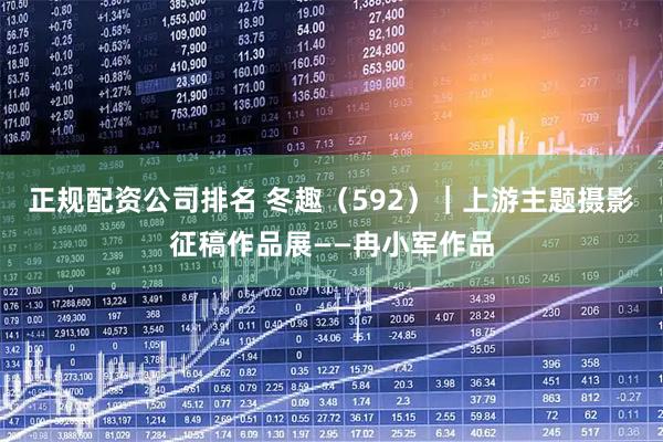 正规配资公司排名 冬趣（592）｜上游主题摄影征稿作品展——冉小军作品