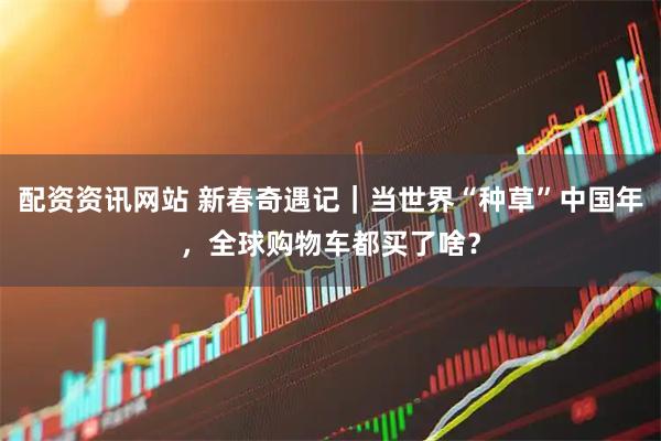 配资资讯网站 新春奇遇记｜当世界“种草”中国年，全球购物车都买了啥？