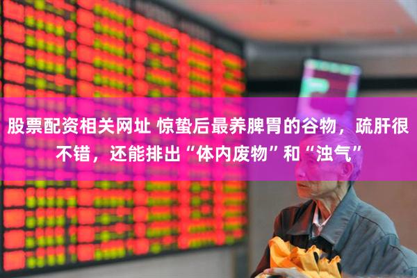 股票配资相关网址 惊蛰后最养脾胃的谷物，疏肝很不错，还能排出“体内废物”和“浊气”